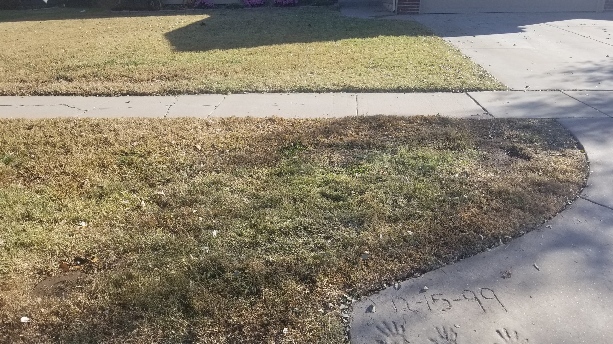 Grass Image trash removal