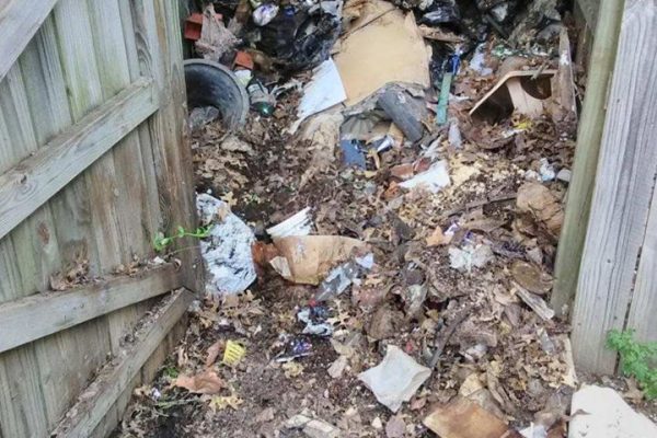Trash Removal Services